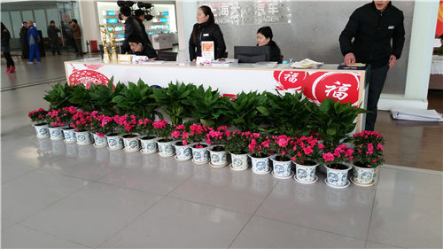 4S店前臺(tái)植物租賃