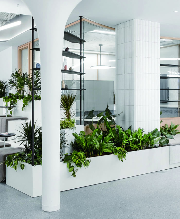 室內(nèi)租賃組合花箱