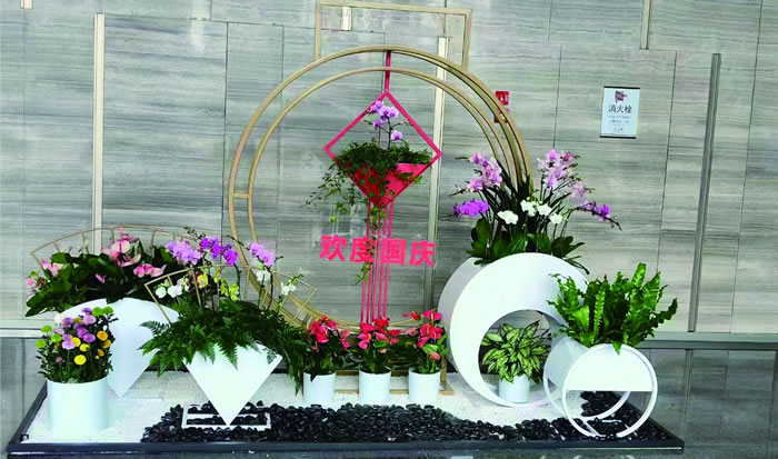 室內(nèi)租賃組合花箱